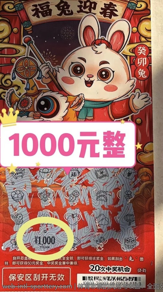 体育彩票的风险与收益：全面分析